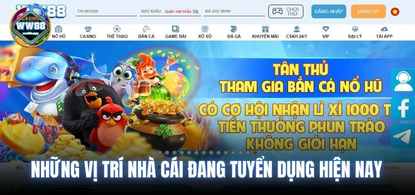 Những vị trí nhà cái đang tuyển dụng hiện nay