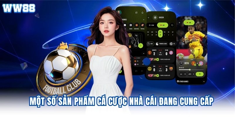 Một số sản phẩm cá cược nhà cái đang cung cấp