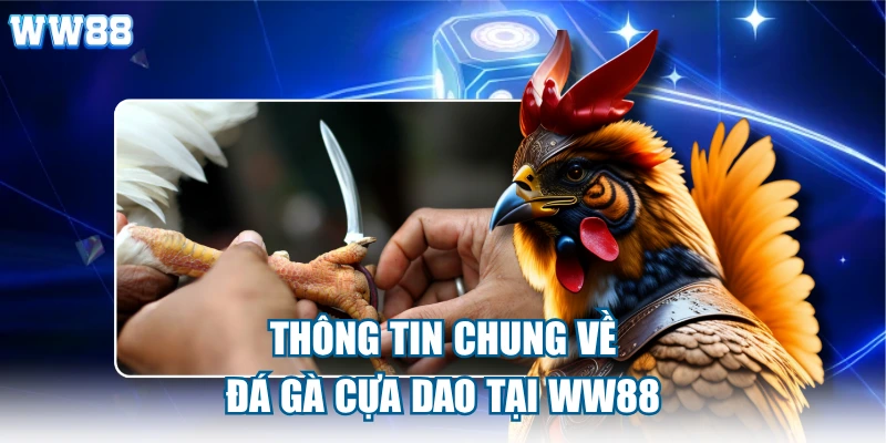 Thông tin chung về đá gà cựa dao tại ww88